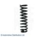 TOYOT 481316B010 Coil Spring